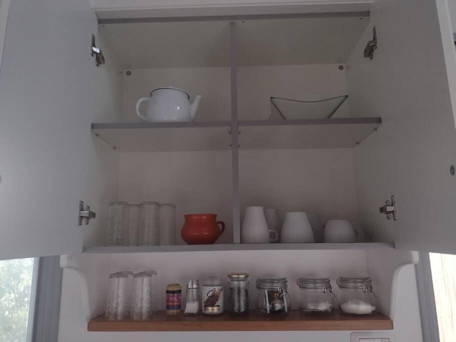 Apartmán יער האלונים Ejn Zivan Exteriér fotografie
